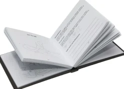 50 sexstillinger travel size