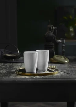 2 stk. Plissé termokrus 25 cl