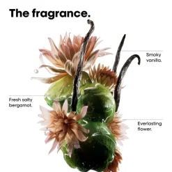 Absolut Repair Molecular Trio Gift Set 2025