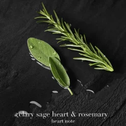 Acqua di Giò Parfum Refill