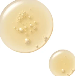 Advanced Night Repair Serum