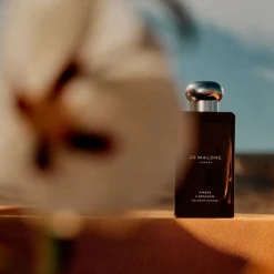 Amber Labdanum Cologne Intense