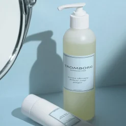 Aroma Therapy Deluxe Soap Ginger