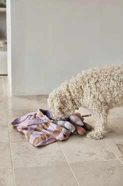 Ashi Hundelegetøj - Lille