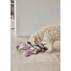 Ashi Hundelegetøj - Stor