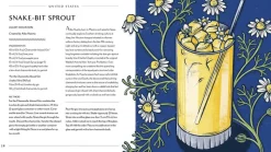 Behind the Bar: Gin