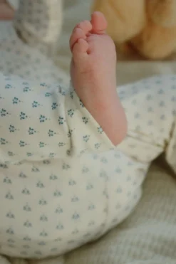 BELLO 2 PACK PANTS OCS