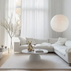 Bjørn stor eg/ahorn