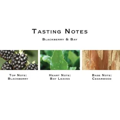 Blackberry & Bay Cologne