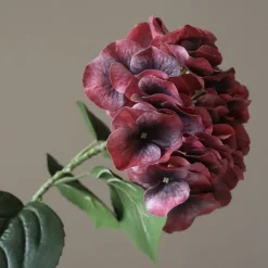 Burgundy Hydrangea Flower