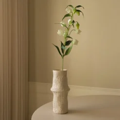 Chinese Lantern Lily Flowers