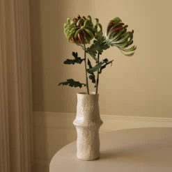 Chrysanthemum Flower