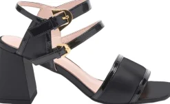 COCCINELLEMAIA BIMATERIAL