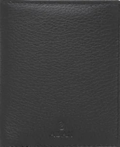 Cormorano pung ninni