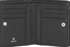 Cormorano pung ninni