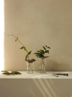 Cresco Propagation Vases, Set of 2