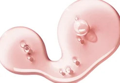 Delicious Rhubarb & Rose Fine Liquid Hand Wash