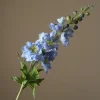 Delphinium Flower