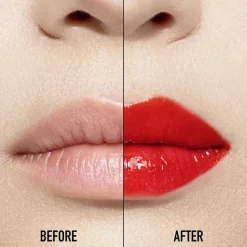 Dior Addict Lip Maximizer Lip Plumping Gloss