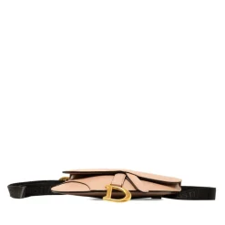 Dior Saddle Bag