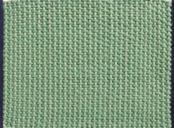 Door Mat-Light green