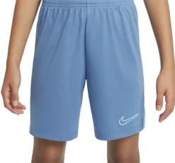 Dri-FIT Academy 23 shorts