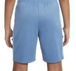 Dri-FIT Academy 23 shorts