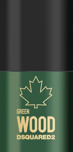 DSQUARED2 Green Wood Men Deodorant stick 75 ML