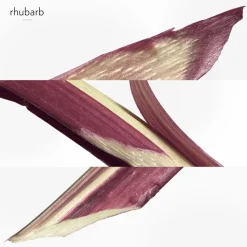 Eau De Rhubarbe Écarlate Eau de Cologne 200 ml