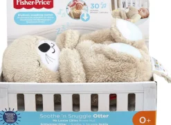 Fisher-Price Soothe 'n Sn