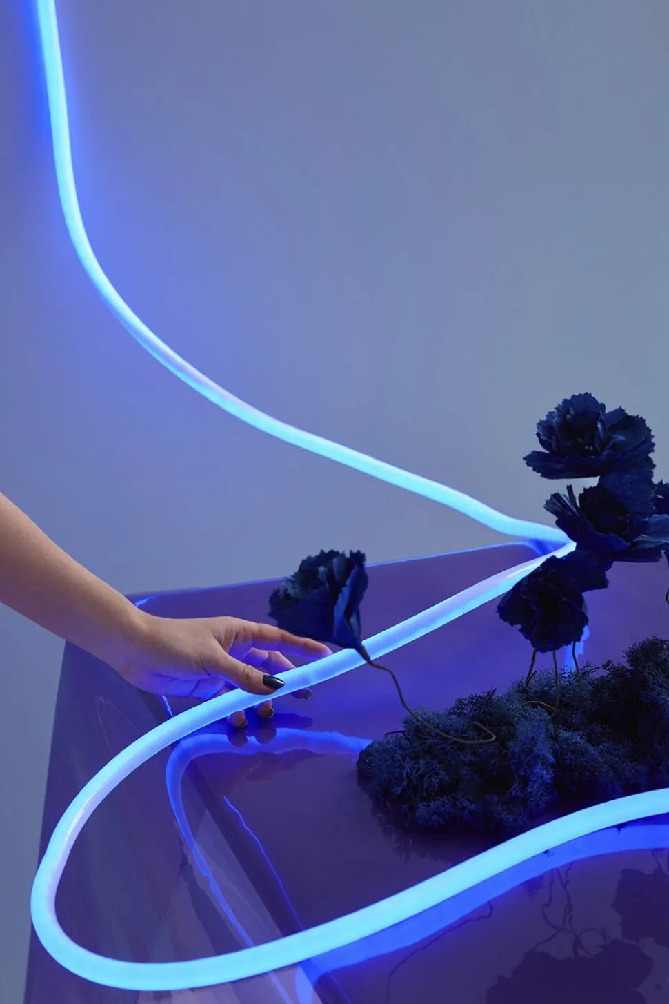 FLEX TUBE, 5 M, BLUE