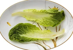 Flora 26 cm. fad - Mælkebøtte