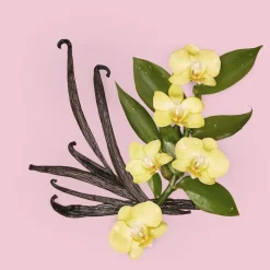 Flora Gorgeous Orchid Eau de parfum