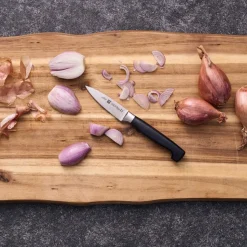 FOUR STAR Urtekniv 10 cm