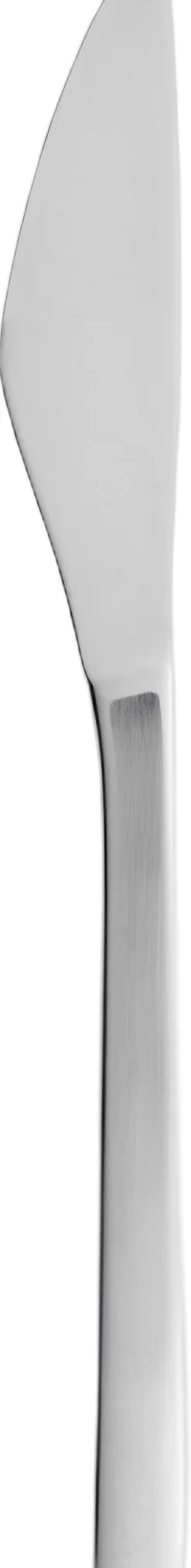 Frokostkniv Fuga 19 cm Mat/Blankt stål