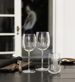 Future 6 stk. Vandglas klar 25 cl