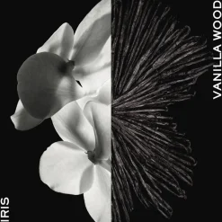 Givenchy Gentleman Eau de parfum