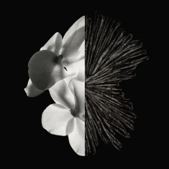 Givenchy Gentleman Eau de parfum