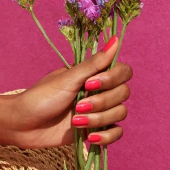 Green - Bougainville