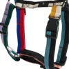 HAY Dogs Harness-Medium-Multi colou