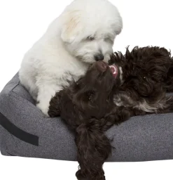 Hundeseng HYGGE Anthracite