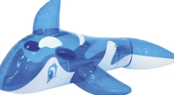 HVAL 145x80m I COLORBOX