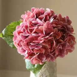 Hydrangea Flower