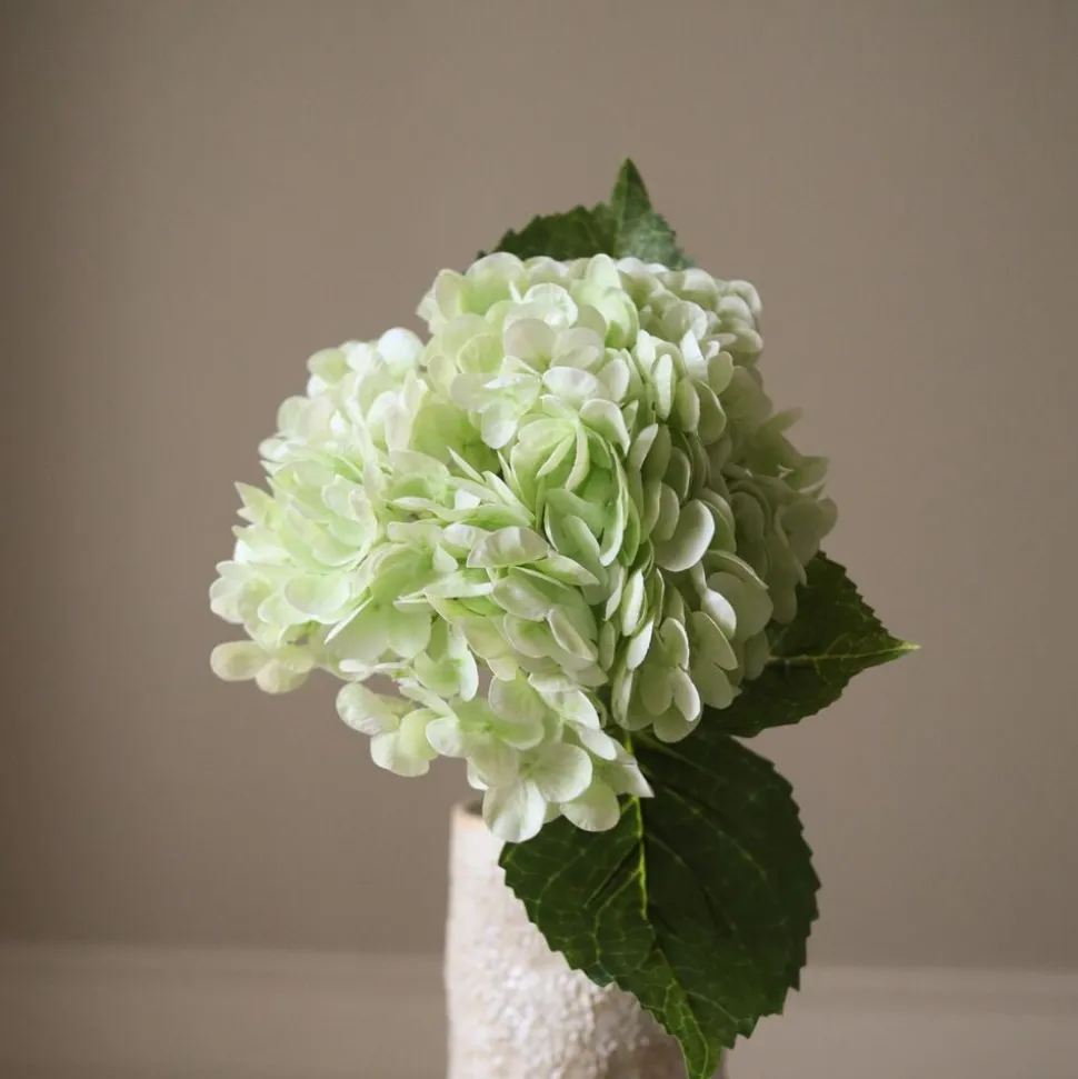 Hydrangea Flower