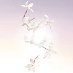 Idôle Eau de Parfum