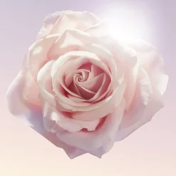 Idôle Eau de Parfum