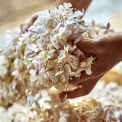 J'adore Eau de parfum