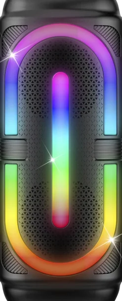 KARAOKEHØJTALERmMIC 2x4