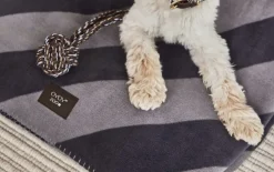 Kaya Hundetæppe - Medium