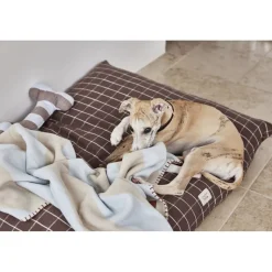 Kyoto Hundepude - Lille